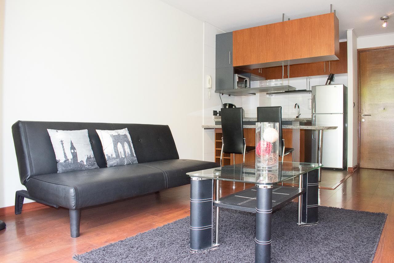 Bellavista Spotlight Apartment Santiago Luaran gambar