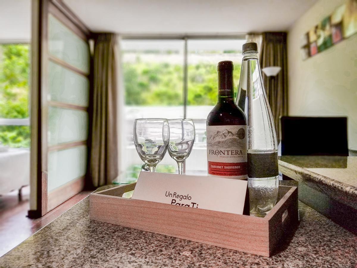 Bellavista Spotlight Apartment Santiago Luaran gambar
